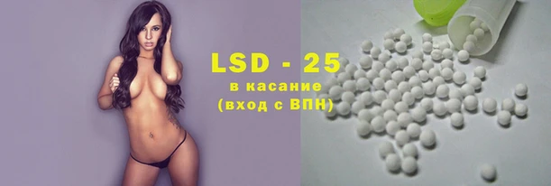 стаф Беломорск