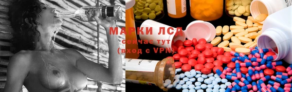 стаф Беломорск