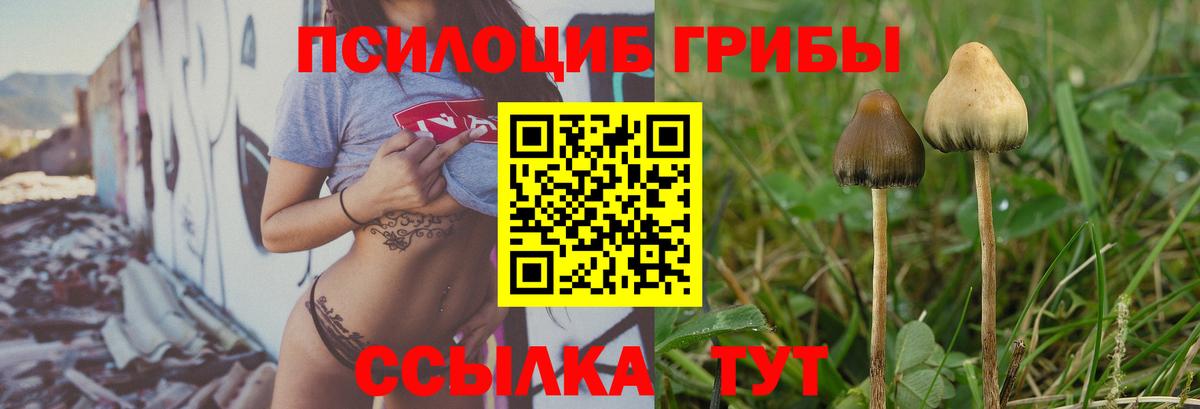 Псилоцибиновые грибы прущие грибы  цены   Дагестанские Огни  Вход с VPN 